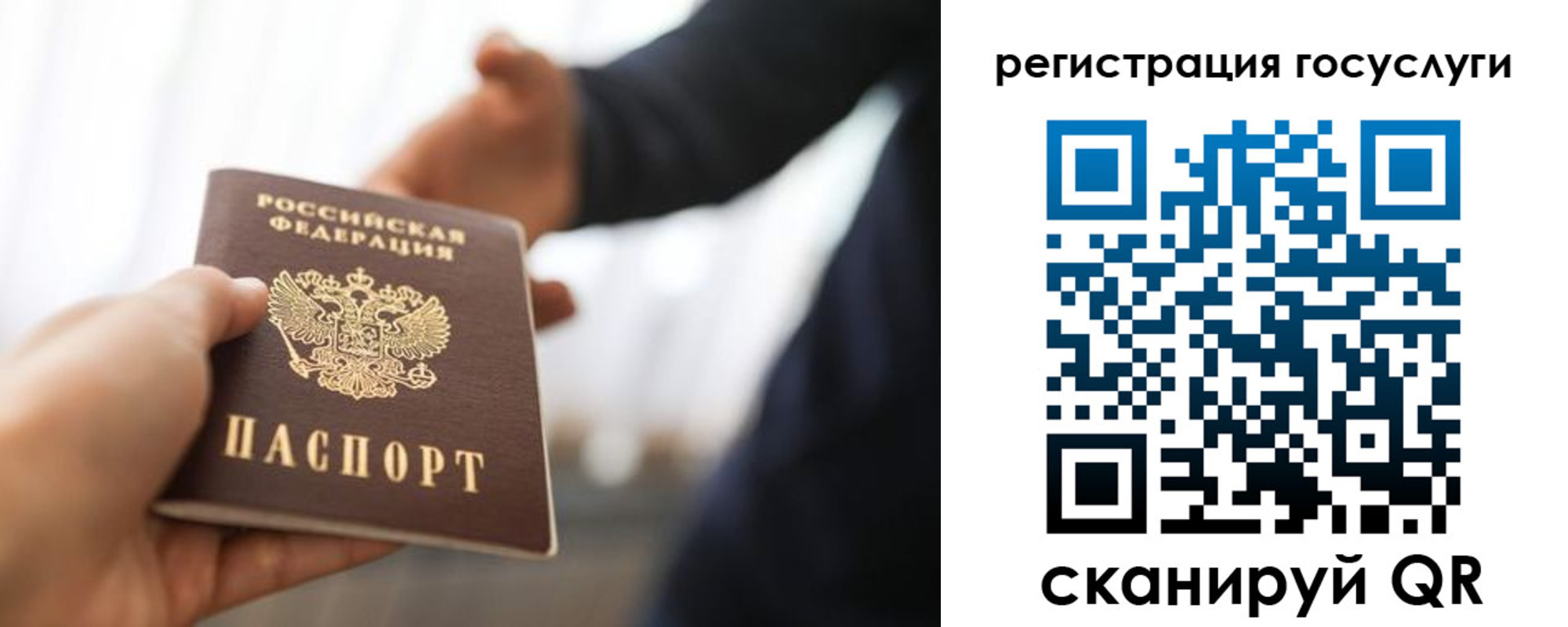 временная регистрация поиск в Железногорске